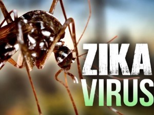 virus zika